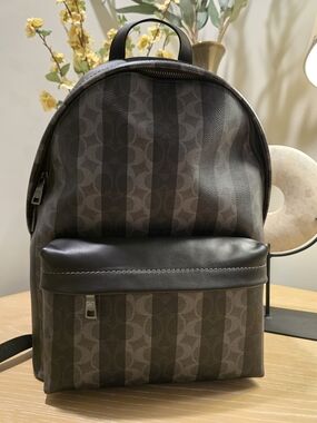 Coach Men's Signature Stripe Backpack in Gray and Black